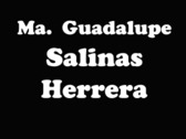 Ma. Guadalupe Salinas Herrera