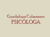 Guadalupe Colmenero García