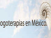 Logoterapias En México