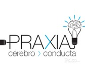 Praxia Cerebro Y Conducta
