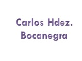 Lic. Carlos Hernández Bocanegra