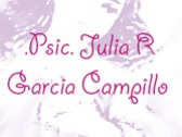 Julia R. Garcia Campillo