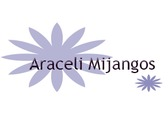 Araceli Mijangos