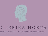 Lic. Erika Horta