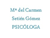 Mª del Carmen Setién Gómez