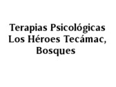 Terapias Psicológicas Los Héroes