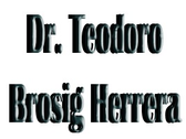 Dr. Teodoro Brosig Herrera