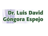 Dr. Luis David Góngora Espejo