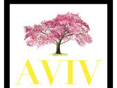 AVIV-Centro de Crecimiento Integral Individual y Familiar