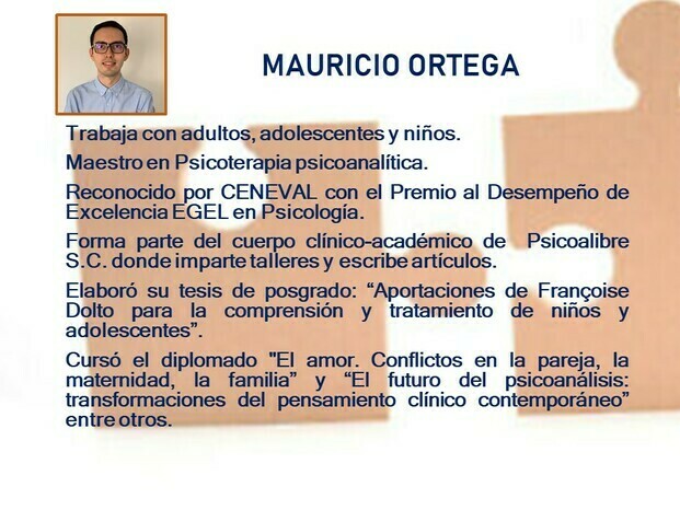 Experiencia profesional Mauricio Ortega 