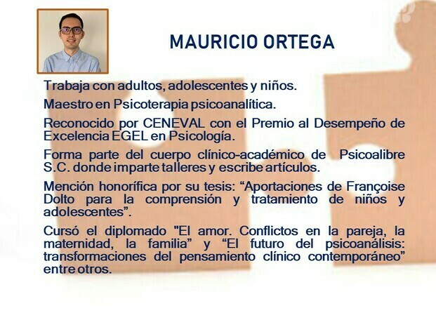 Experiencia profesional de Mauricio Ortega