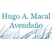Hugo A. Macal Avendaño