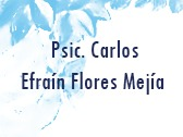 Carlos Efraín Flores Mejía