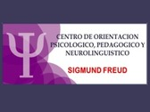 Centro de Orientación Psicológica Sigmund Freud