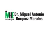 Dr. Miguel Antonio Bórquez Morales