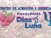 Centro De Atención Y Orientación Psicológica Díaz De Luna