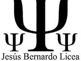 Mtro. Jesús Bernardo Licea E.